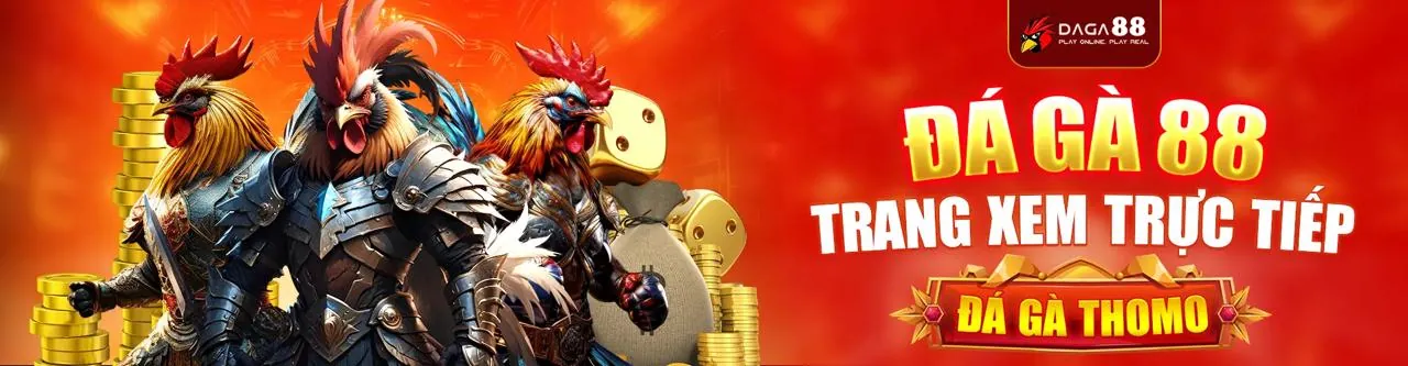 Sân đấu đá gà trực tuyến sôi động tại 32win30